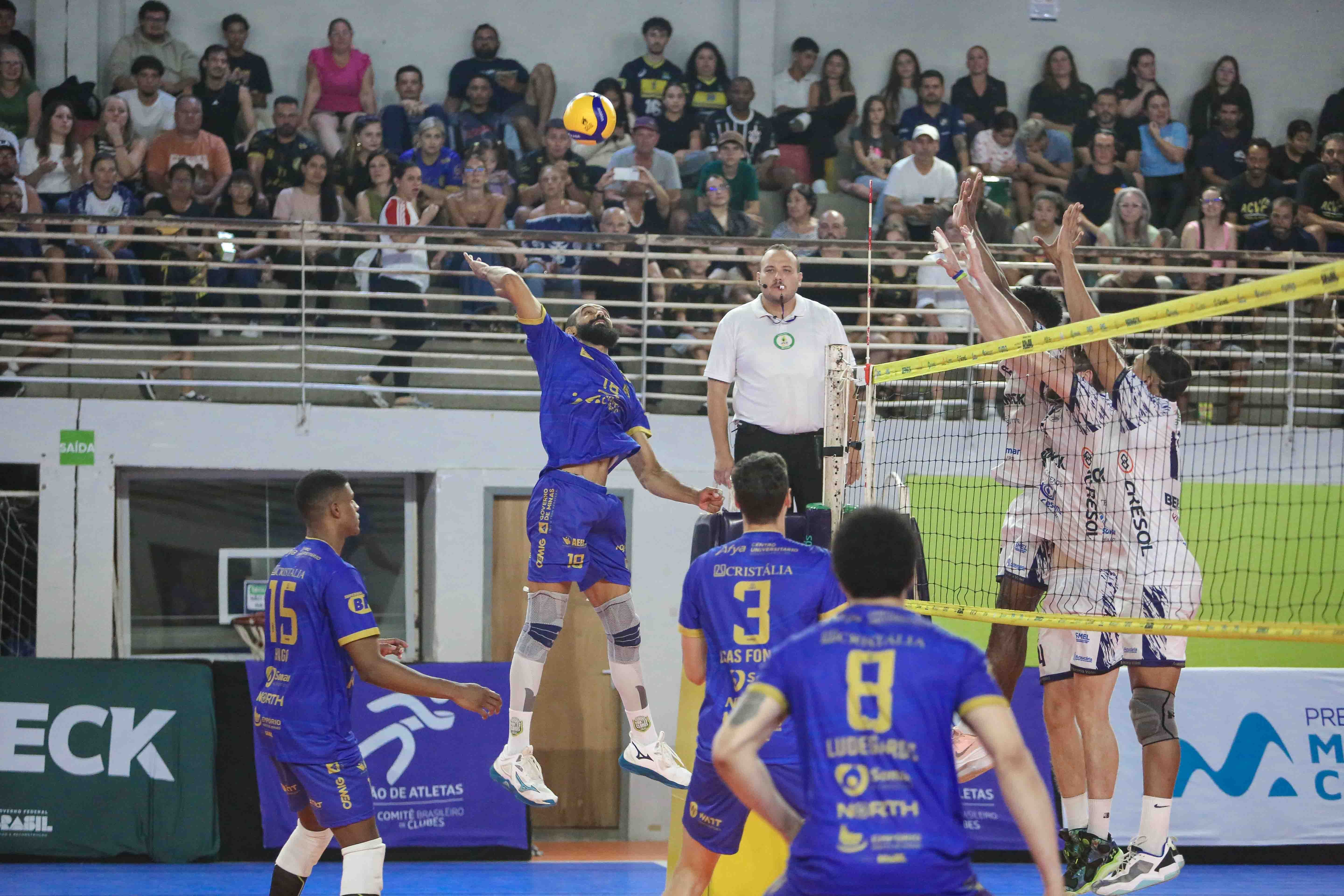 FOTO THAISE OLIVEIRA.jpg