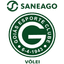 SANEAGO GOIÁS VOLEI