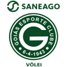 SANEAGO GOIÁS VOLEI