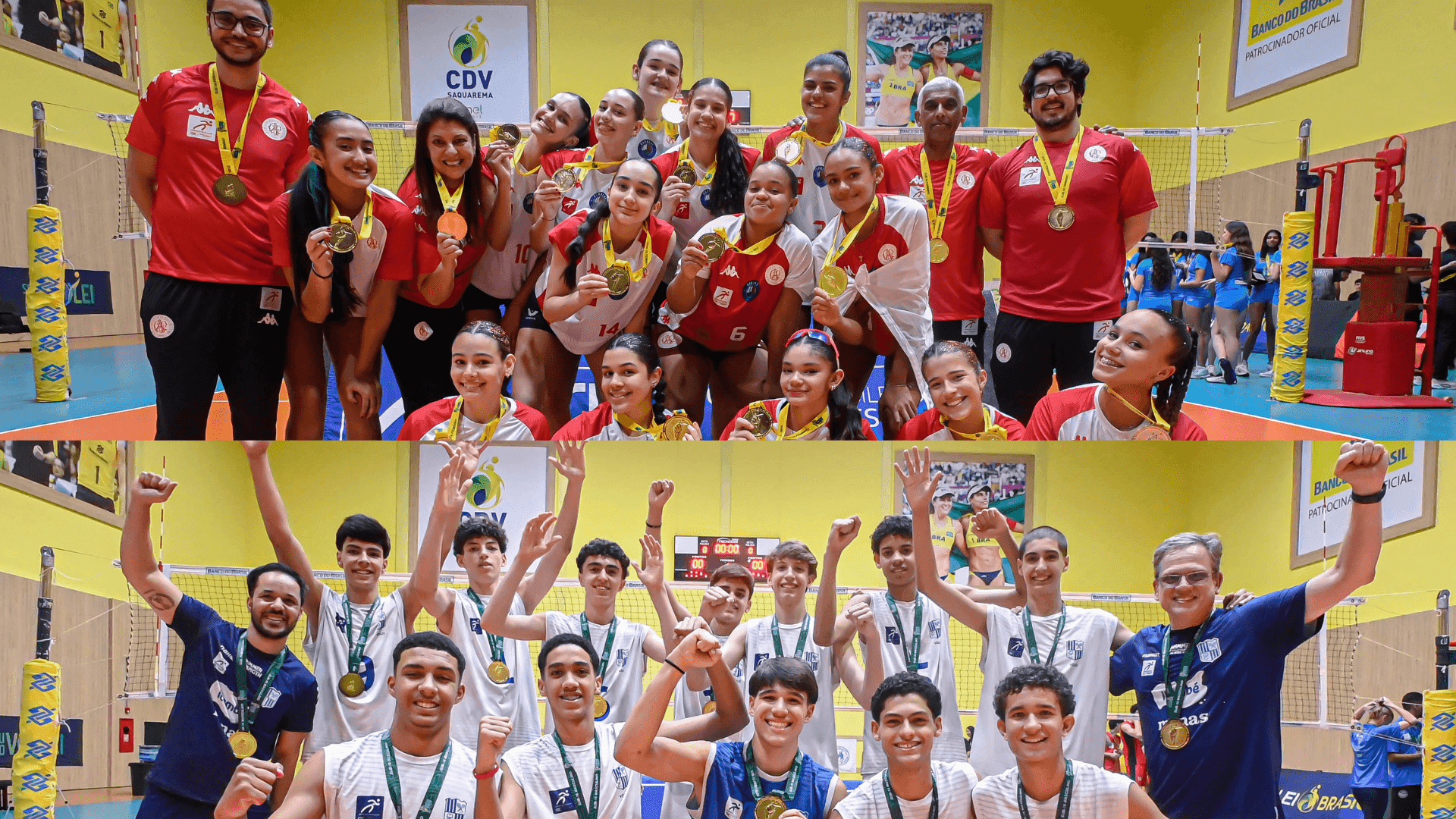 Design sem nome (17).png