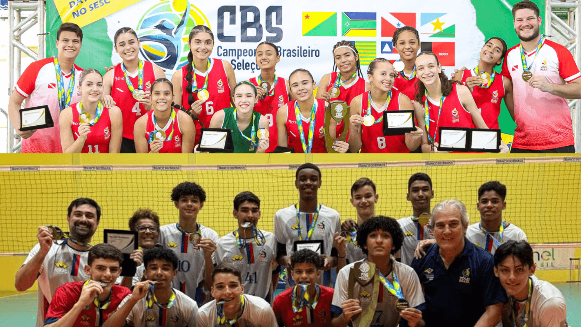 Design sem nome (4).png