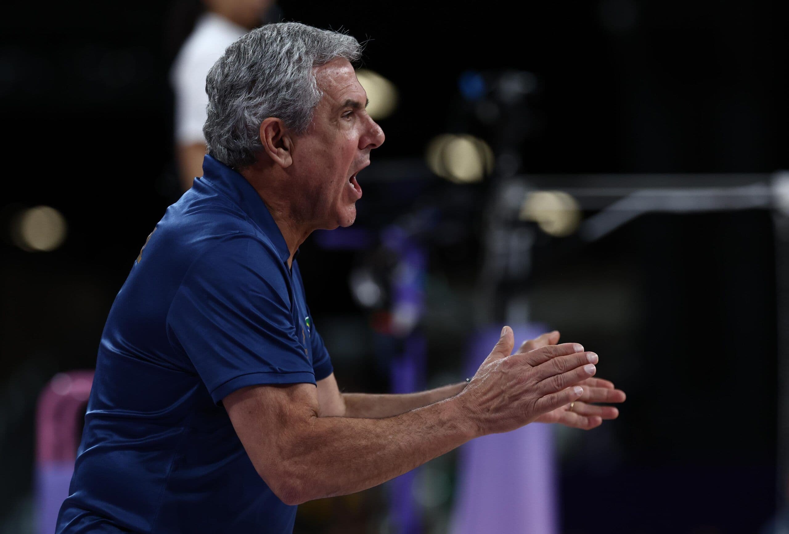 José Roberto Guimarães.jpeg